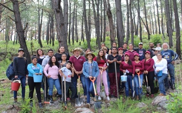 Freno a degradación forestal de Michoacán, pide Fermín Bernabé