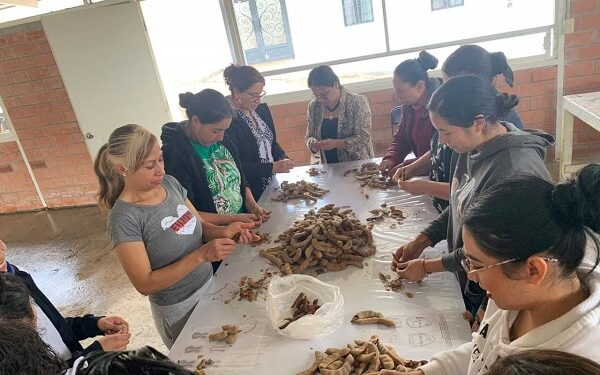 Inician Cursos de Autoempleo en Villa Morelos