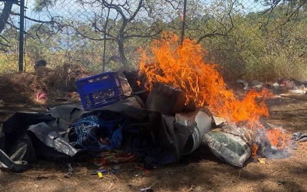 Destruyen dos campamentos de la delincuencia organizada en Parácuaro