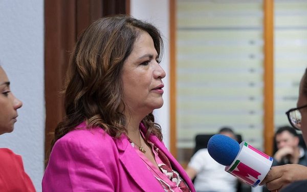 Ley contra la apología del delito no violará derecho a la libertad de expresión: Fabiola Alanís